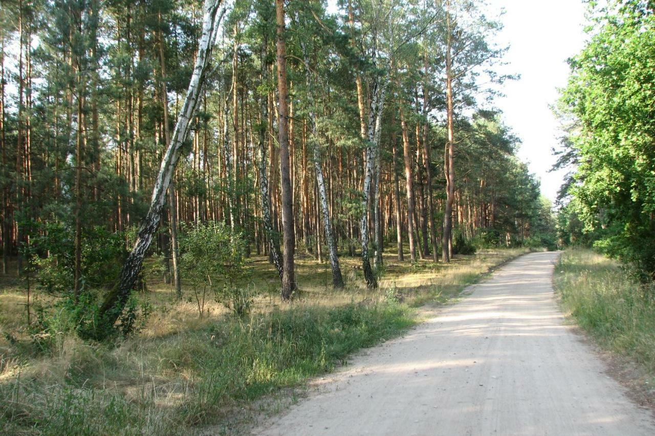 Вілла Strefa Kampinos Brochow Екстер'єр фото
